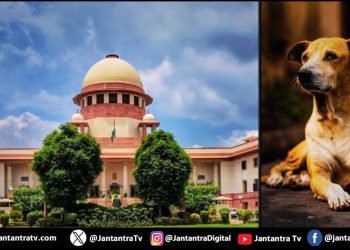 सुप्रीम कोर्ट ने पकड़े गए कुत्तों को छोड़ने का आदेश दिया है