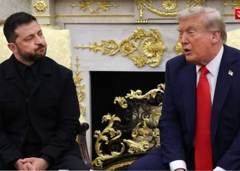 वोलोडिमिर जेलेंस्की, राष्ट्रपति ट्रंप