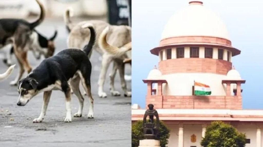 कुत्ते के काटने पर राज्य को देना होगा भारी जुर्माना…