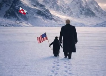 जब एक पेंगुइन मीम की कहानी से हिला इंटरनेट, फिर हुई ट्रम्प की एंट्री!