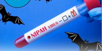 डर की जगह राहत: निपाह के सिर्फ 2 मामले, कोई नया केस नहीं