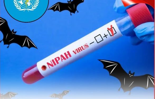 डर की जगह राहत: निपाह के सिर्फ 2 मामले, कोई नया केस नहीं