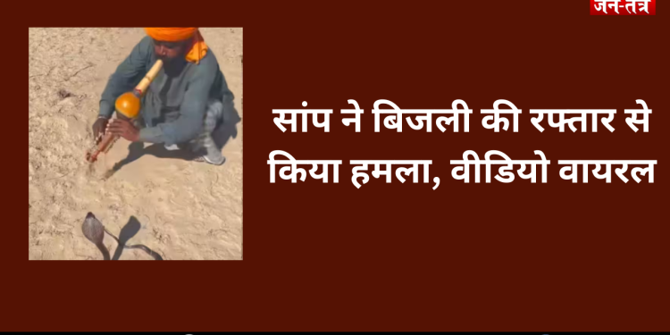 सपेरे की एक छोटी सी गलती और नागराज ने कर दिया खेल खत्म