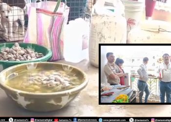 कुत्तों की नसबंदी के नाम पर रोंगटे खड़े कर देने वाला फर्जीवाड़ा