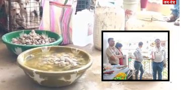 कुत्तों की नसबंदी के नाम पर रोंगटे खड़े कर देने वाला फर्जीवाड़ा